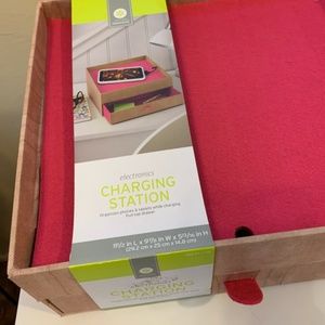 Electronic Charging  and Storage Station